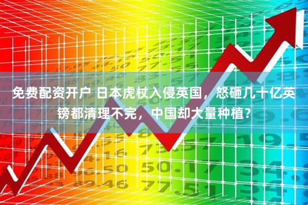 免费配资开户 日本虎杖入侵英国，怒砸几十亿英镑都清理不完，中国却大量种植？