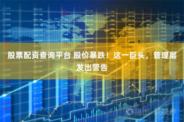 股票配资查询平台 股价暴跌！这一巨头，管理层发出警告